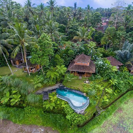 Dewi Tara Haven Bed & Breakfast Gianyar  Exterior photo