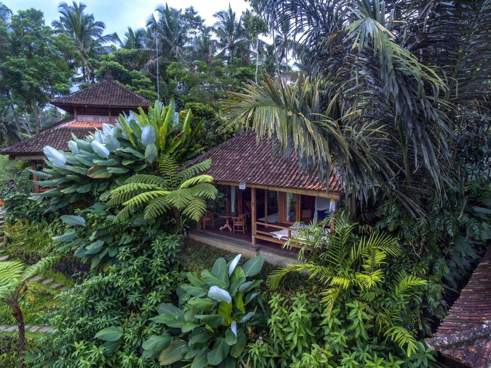 Dewi Tara Haven Bed & Breakfast Gianyar  Room photo