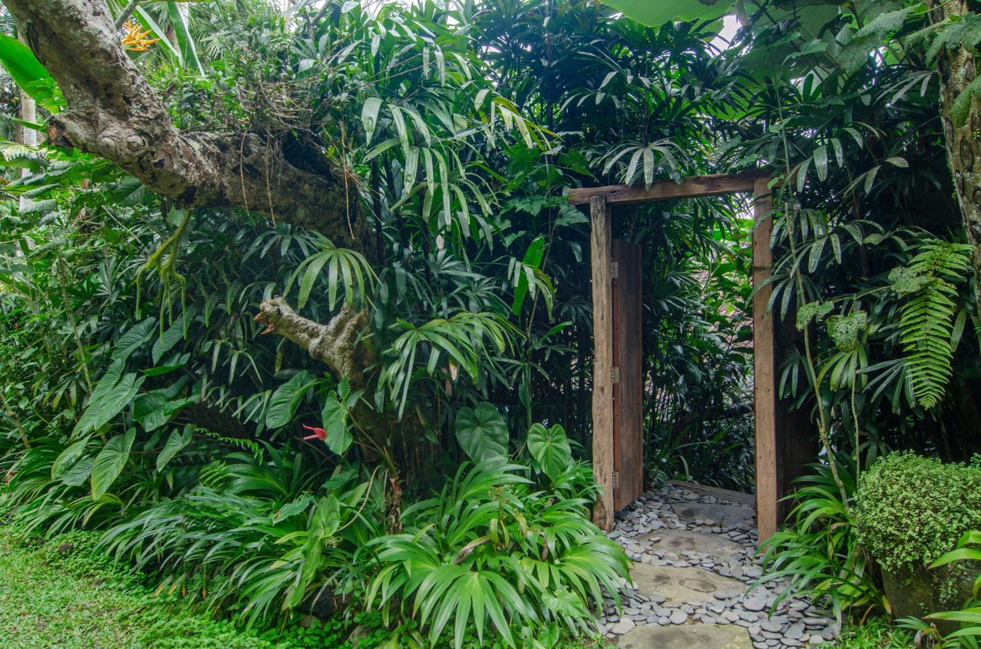 Dewi Tara Haven Bed & Breakfast Gianyar  Room photo