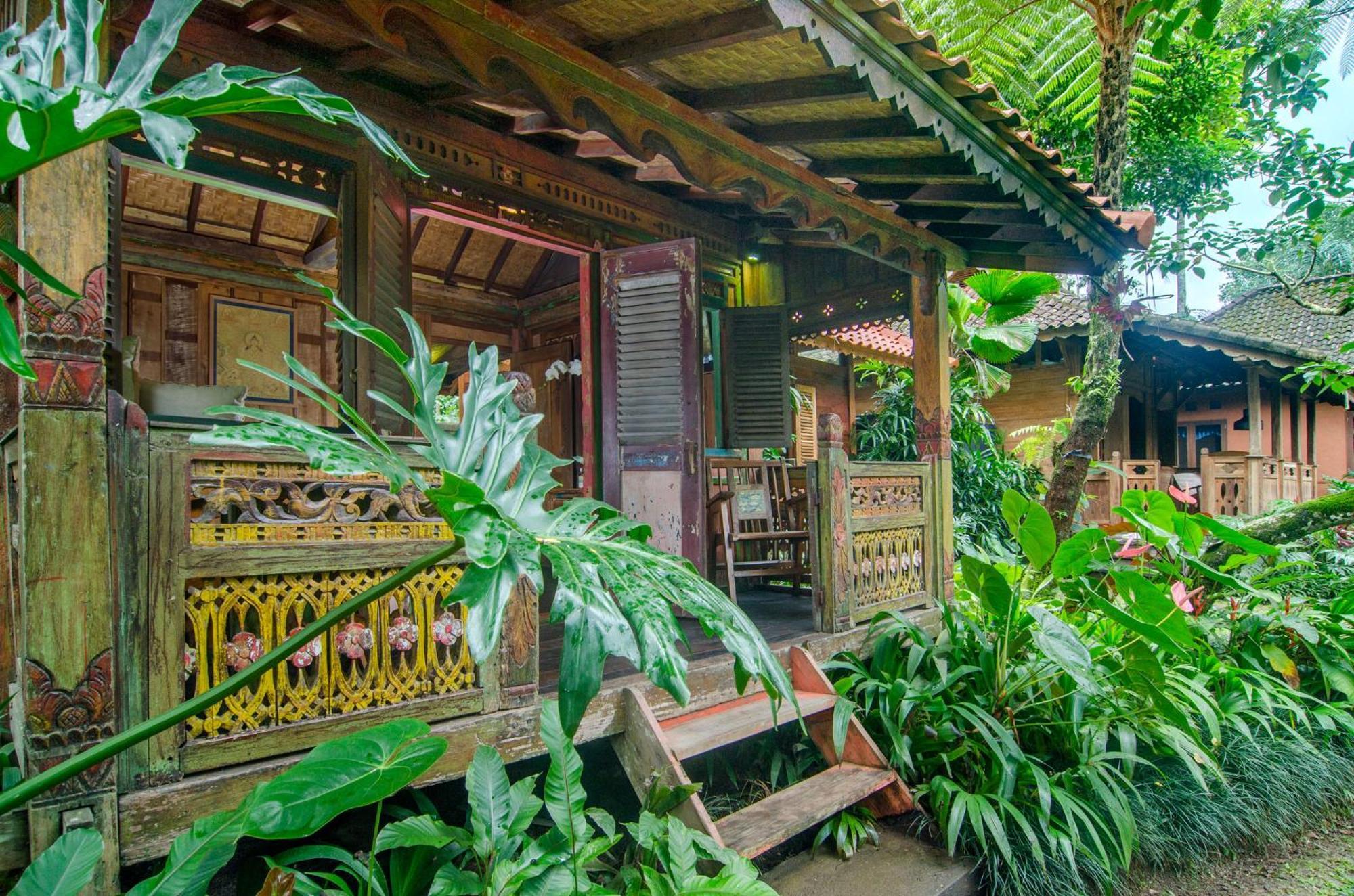 Dewi Tara Haven Bed & Breakfast Gianyar  Room photo