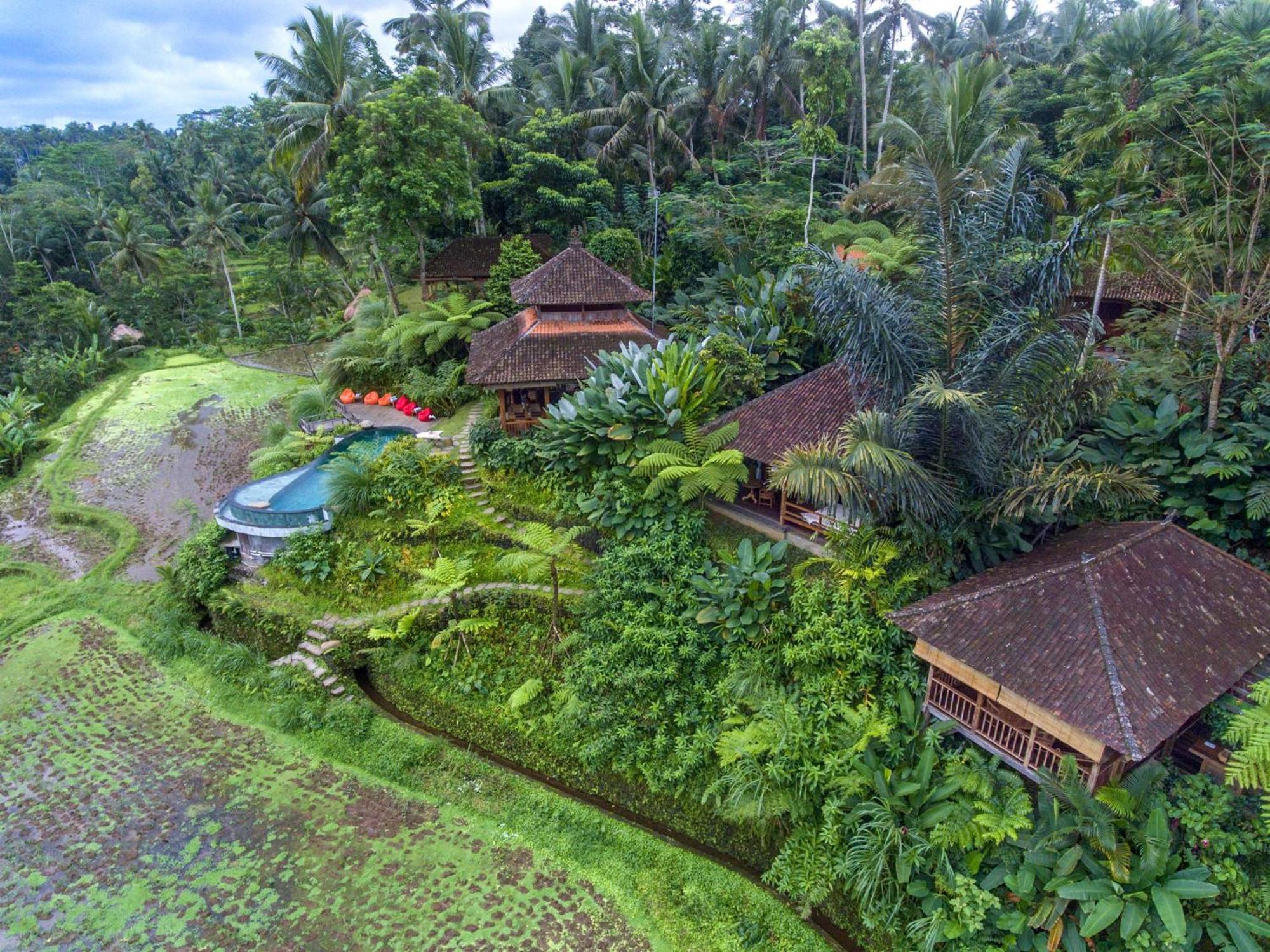 Dewi Tara Haven Bed & Breakfast Gianyar  Room photo