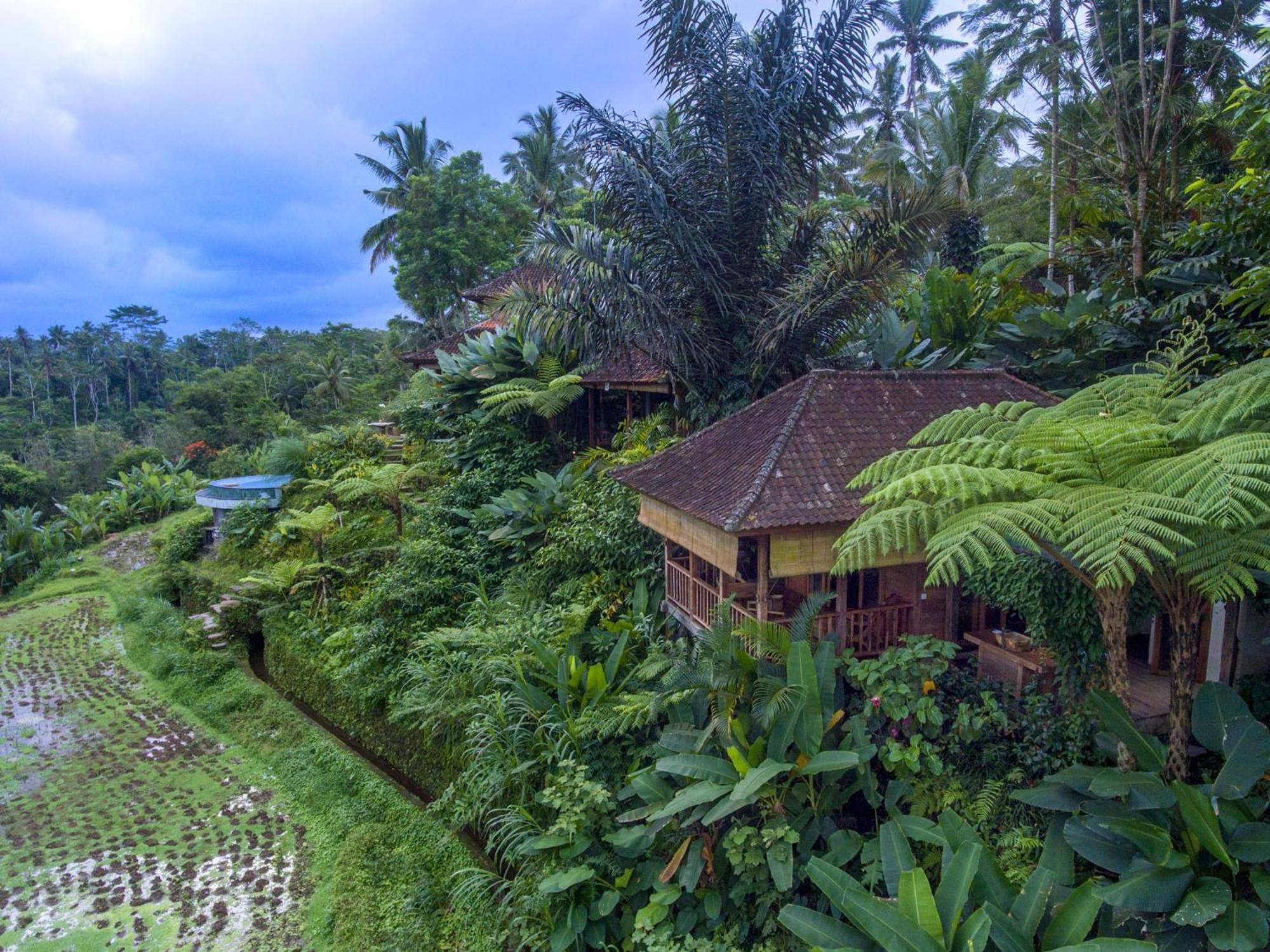 Dewi Tara Haven Bed & Breakfast Gianyar  Room photo